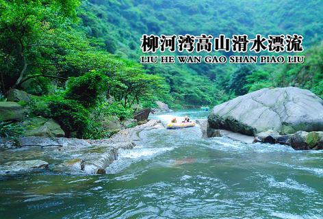 神奇小子龙之陷阱